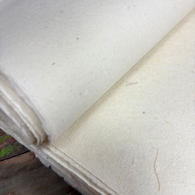 Lokta Craft / Papel de regalo (51x76cm) - 5gms papel liso