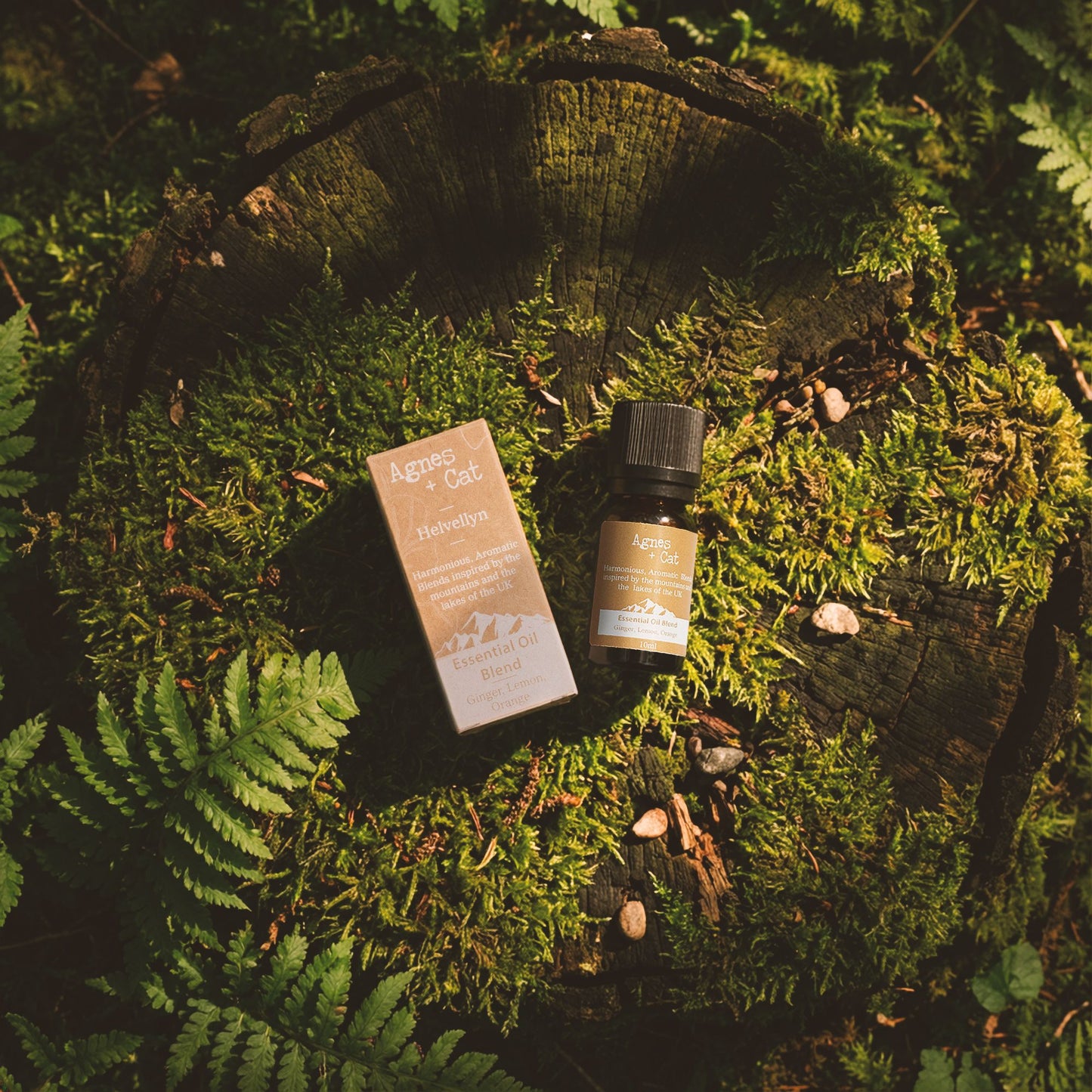 Mezcla de Aceites Esenciales - Great Gable - Eucalipto, Ravensara y Menta de Maíz