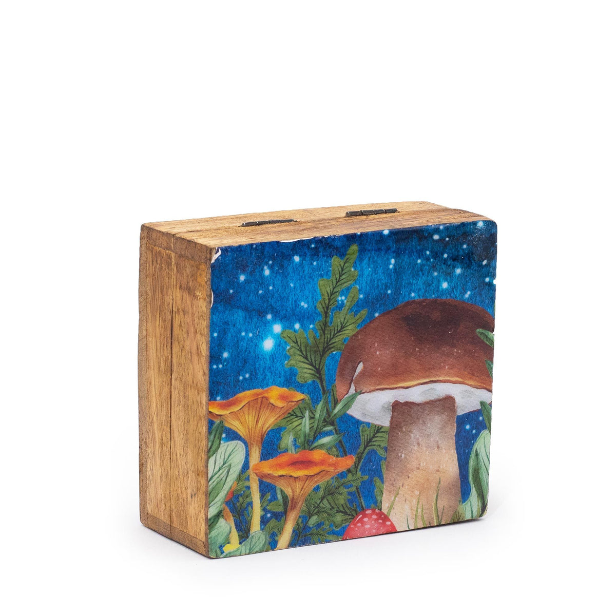 Caja Cuadrada Esmaltada Pequeña 10 × 10 × 4,2 cm - Seta Verde Azulado