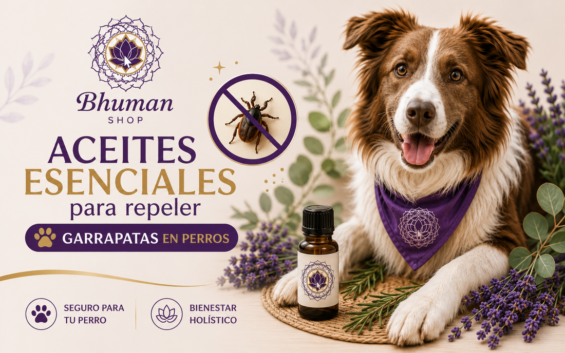 Aceites esenciales para repeler garrapatas en perros