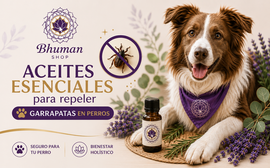 Aceites esenciales para repeler garrapatas en perros