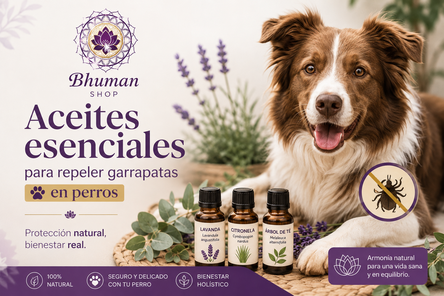 Aceites esenciales aptos para tu mejor amigo