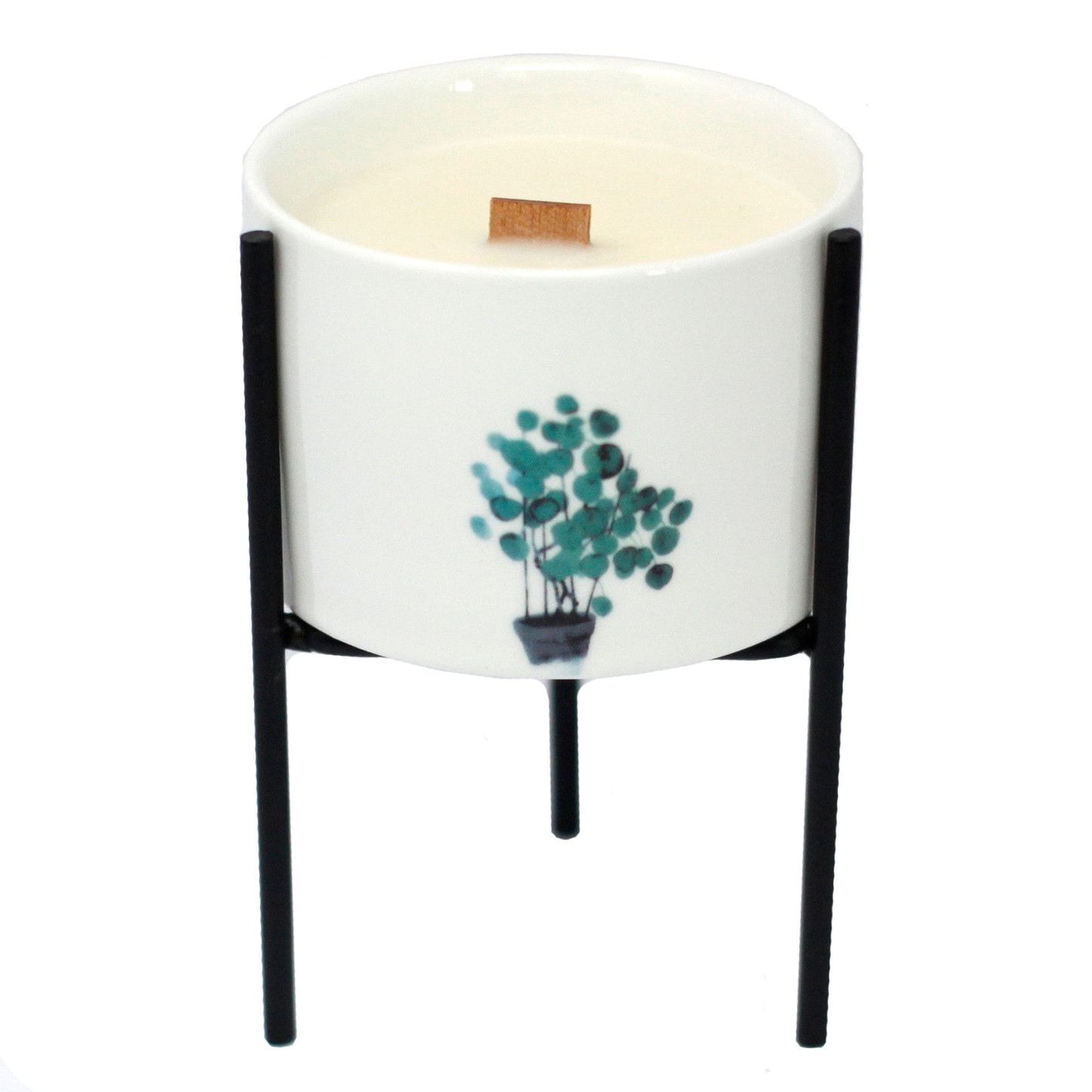 Vela con mecha de madera y Candelabro Botánico De Hierro