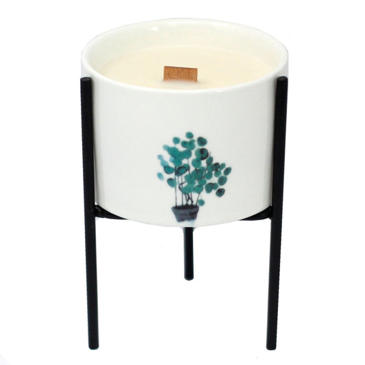 Vela con mecha de madera y Candelabro Botánico De Hierro