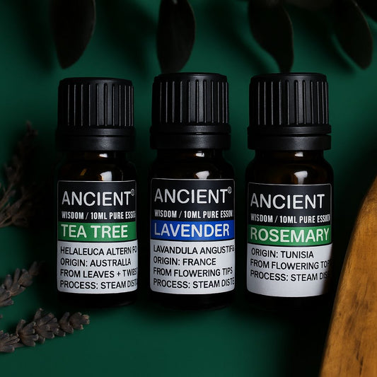 Conjunto de aceites esenciales de lavanda, árbol de té y romero de 10 ml cada uno.