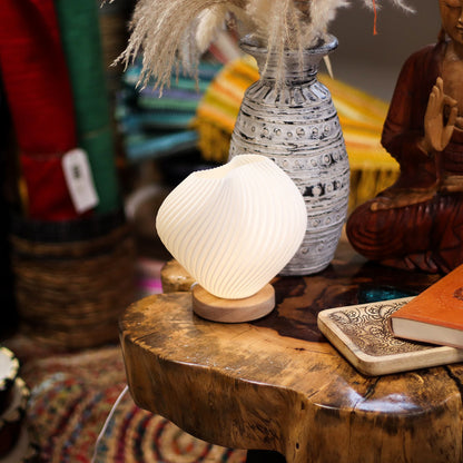 Lámpara New Wave - USB - 3 ajustes - Concha Torcida