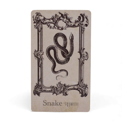 Las cartas oráculo del libro de hechizos - mazo de brujería