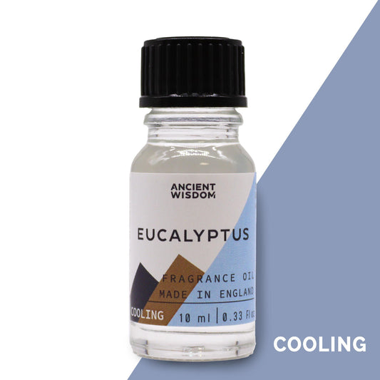 Aceites con Fragancia a Eucalipto (10ml)