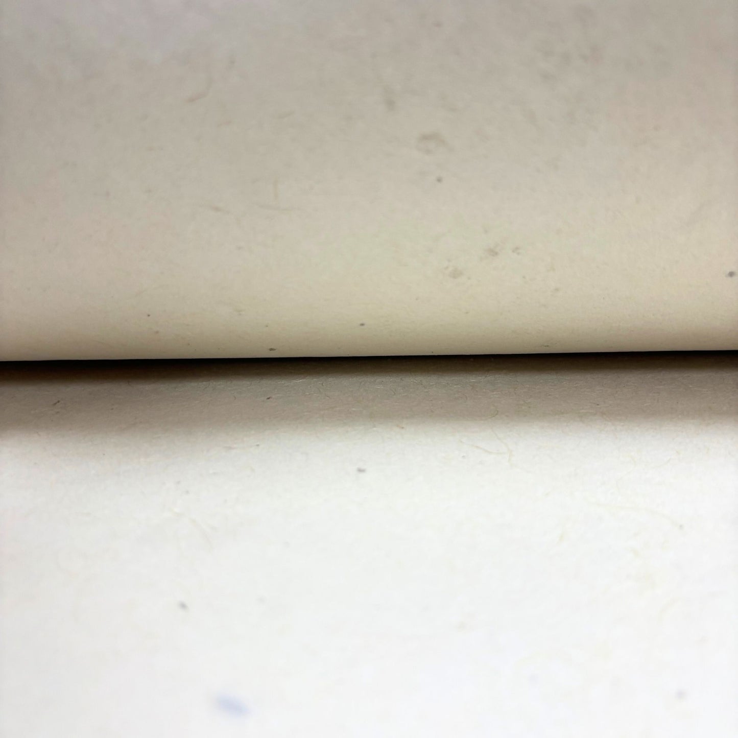 Lokta Craft / Papel de regalo (51x76cm) - 5gms papel liso