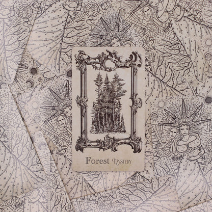 Las cartas oráculo del libro de hechizos - mazo de brujería