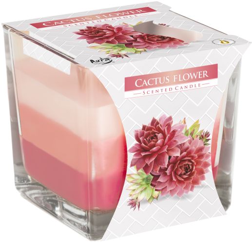 Vela Perfumada Flor de cactus