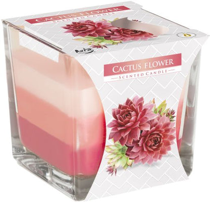 Vela Perfumada Flor de cactus
