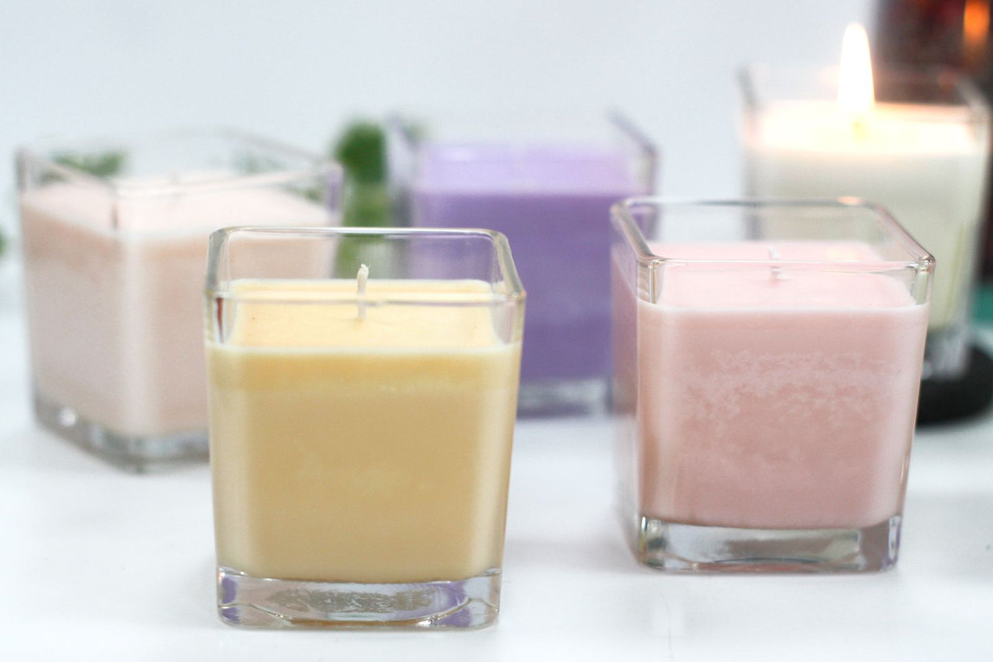 Vela de Cera de Soja sin Etiqueta Fig & Cassis