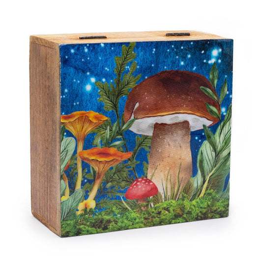 Caja cuadrada grande 15x17.5x8cm, Diseño Seta