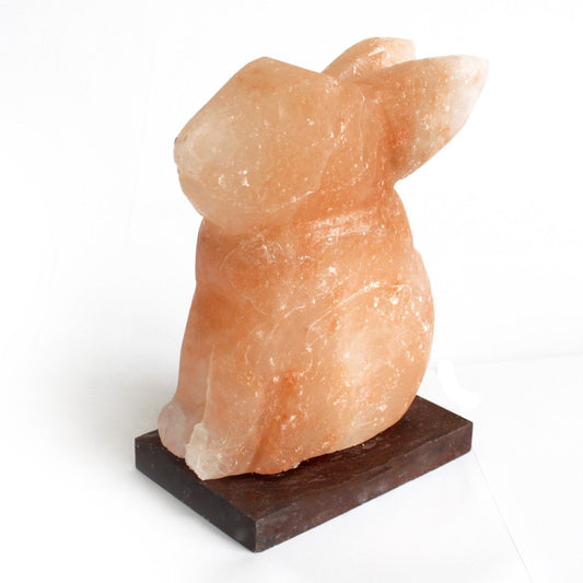 Lampara de sal Animal- Conejo