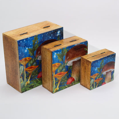 Caja cuadrada grande 15x17.5x8cm, Diseño Seta